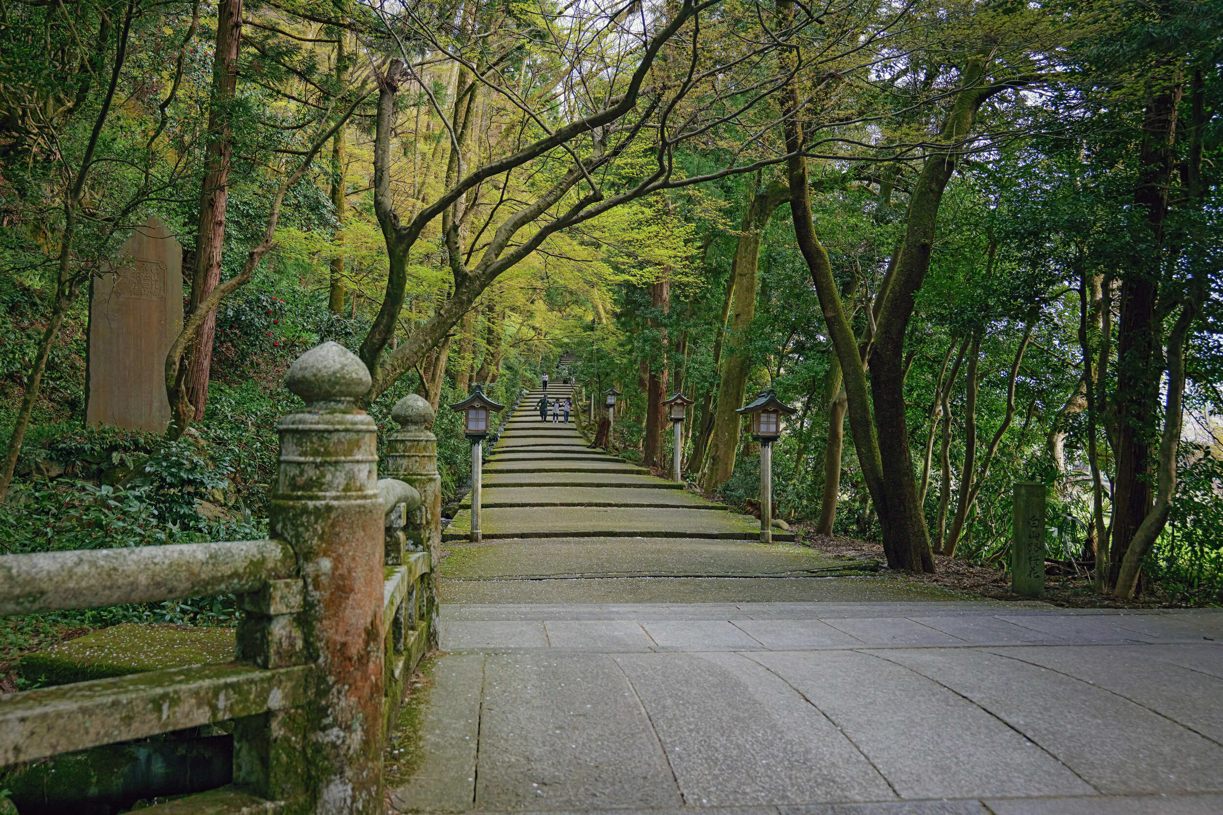 神社巡りツアー